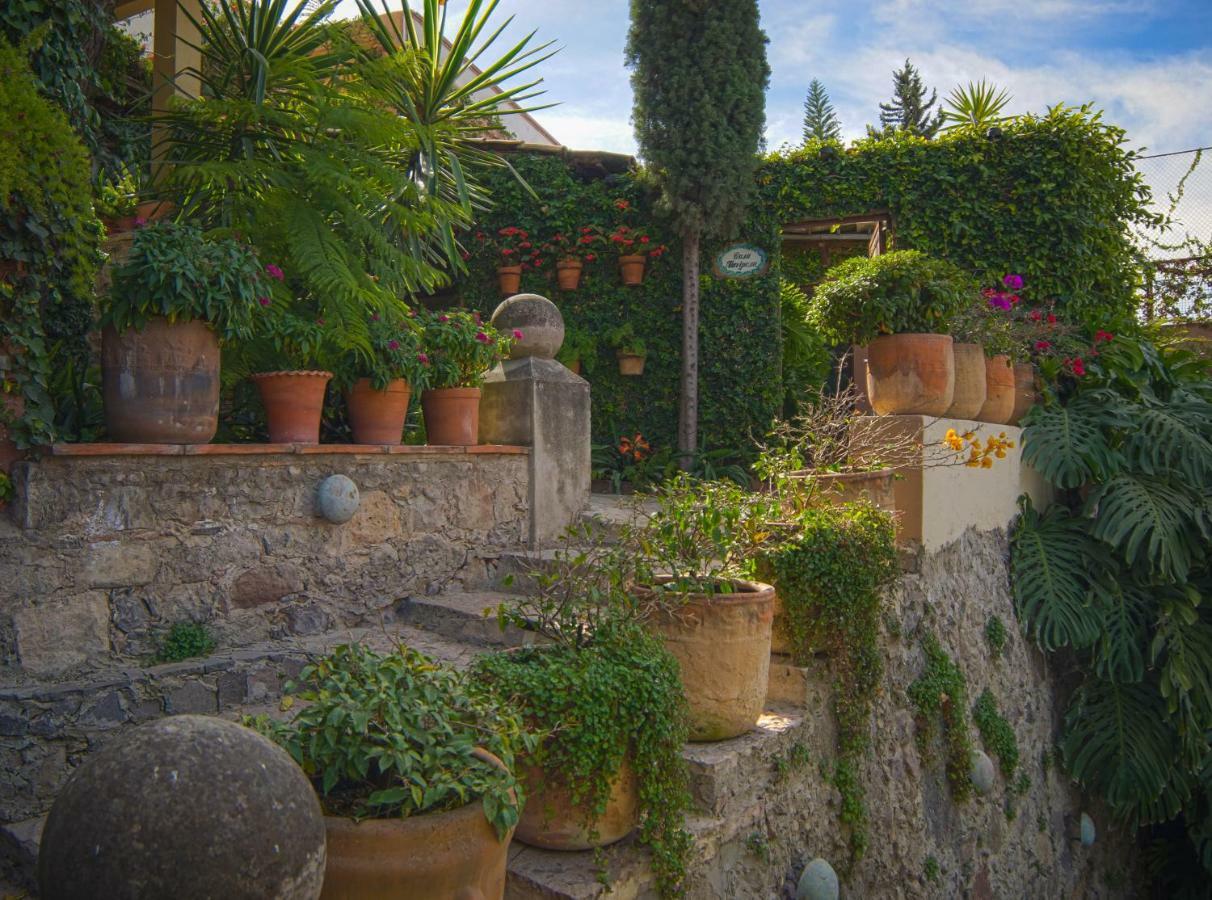 Las Terrazas Hotel San Miguel de Allende Luaran gambar